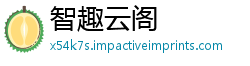 智趣云阁
